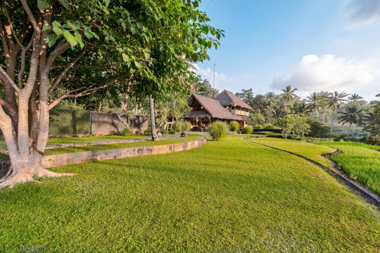 Villa Kelusa Ubud  Luaran gambar
