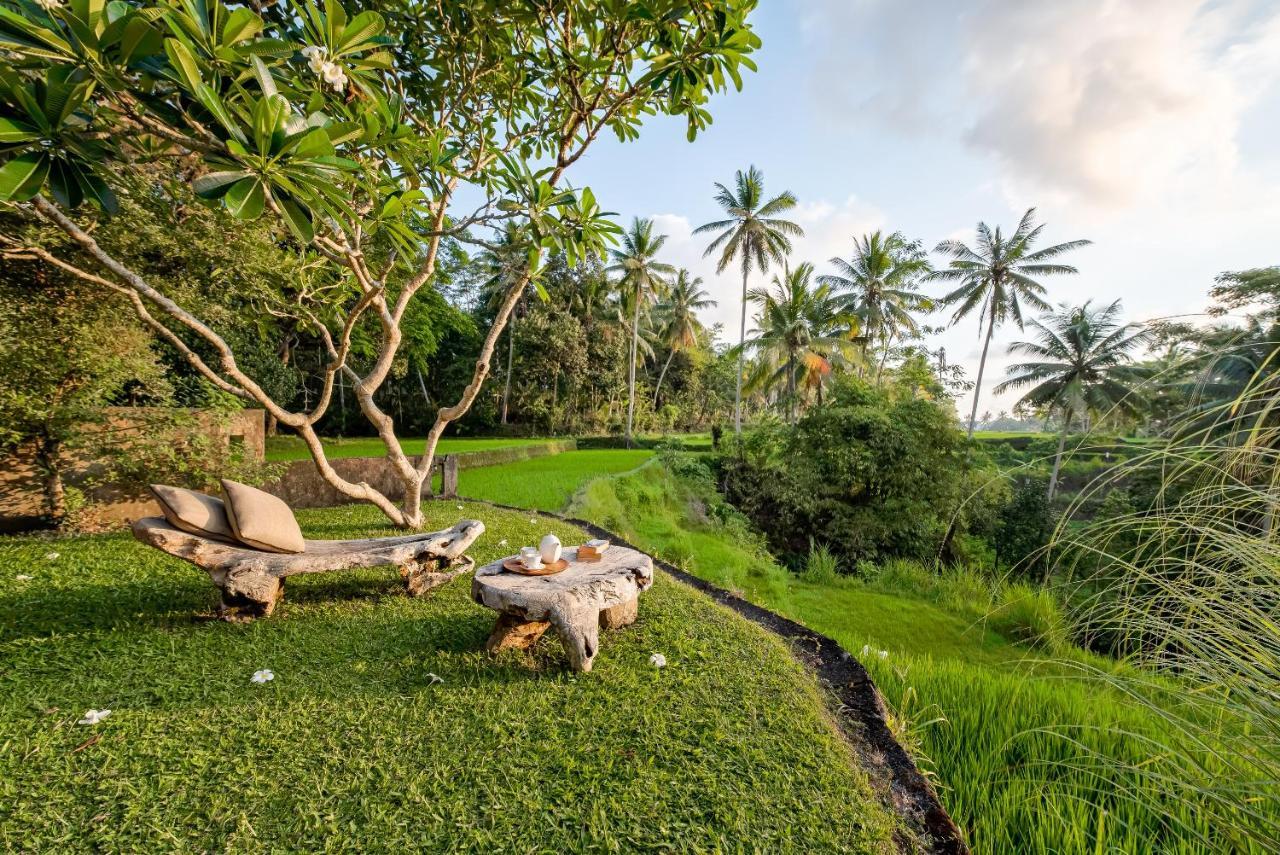 Villa Kelusa Ubud  Luaran gambar